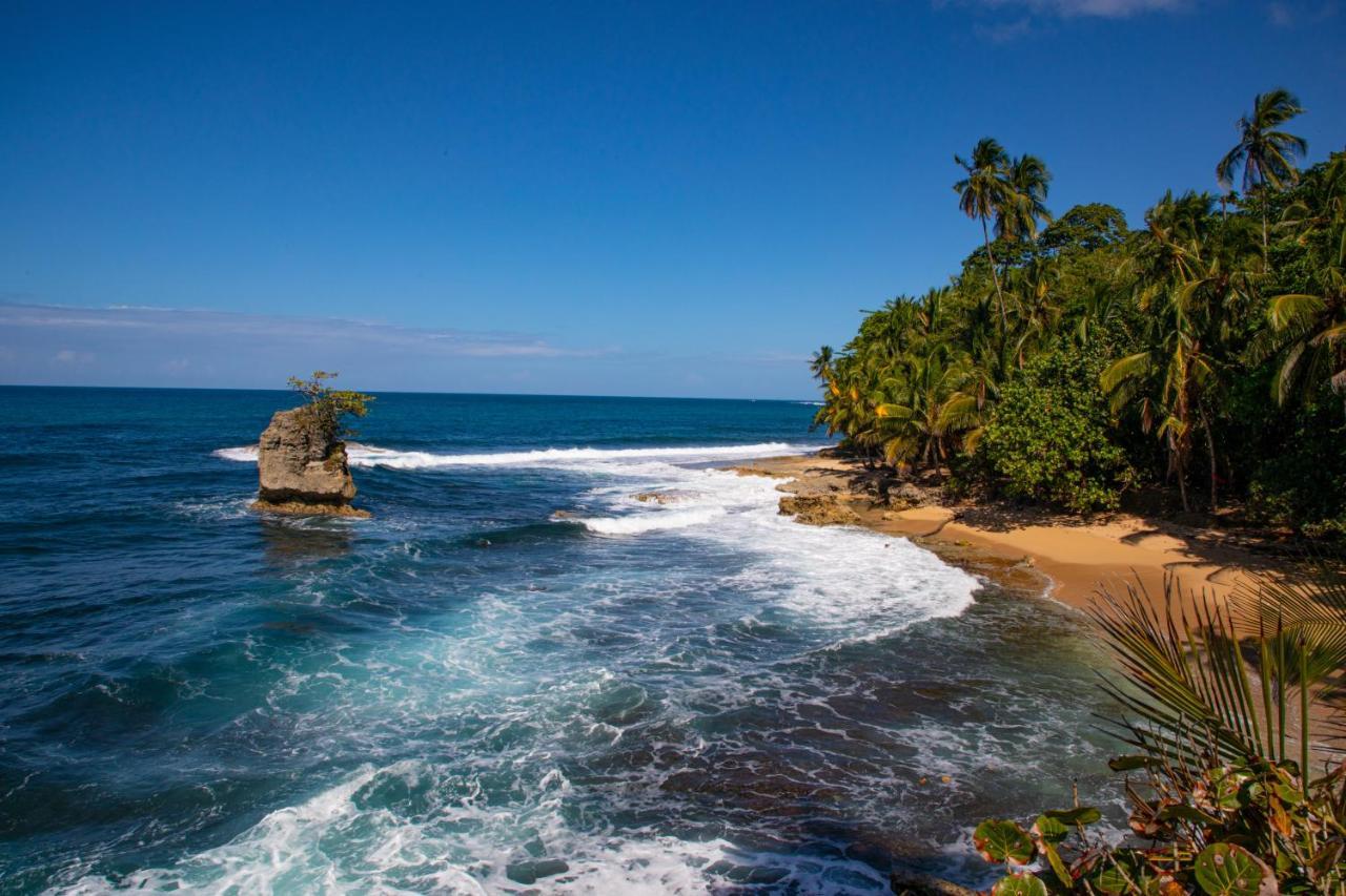 Gigi Brown Villa Paparazzi Beachfront Puerto Viejo de Talamanca Экстерьер фото