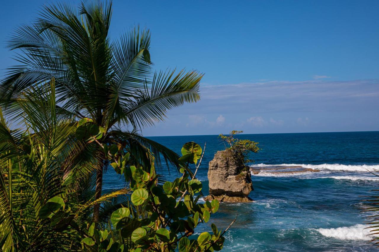 Gigi Brown Villa Paparazzi Beachfront Puerto Viejo de Talamanca Экстерьер фото
